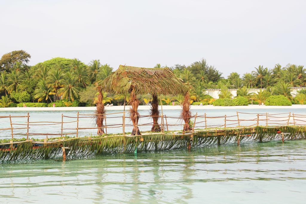 Kaafu Inn Guraidhoo Guraidhoo  Exterior photo