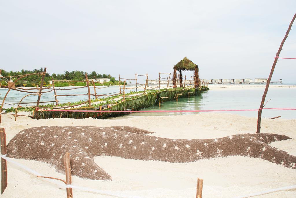 Kaafu Inn Guraidhoo Guraidhoo  Exterior photo