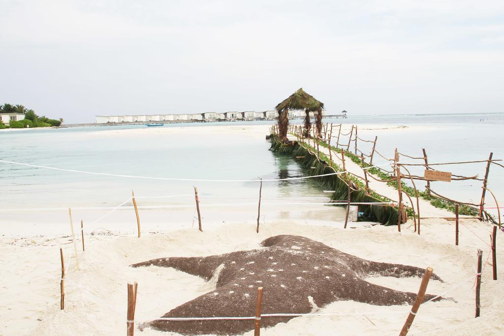 Kaafu Inn Guraidhoo Guraidhoo  Exterior photo