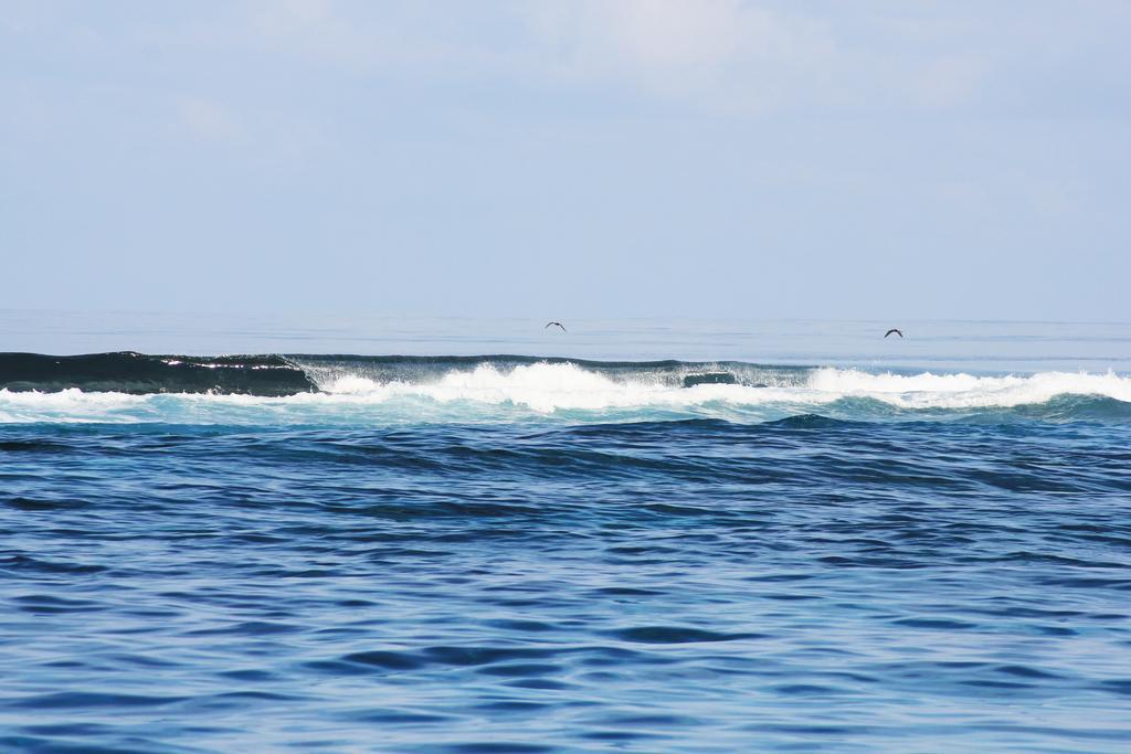 Kaafu Inn Guraidhoo Guraidhoo  Exterior photo