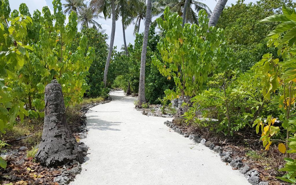 Kaafu Inn Guraidhoo Guraidhoo  Exterior photo